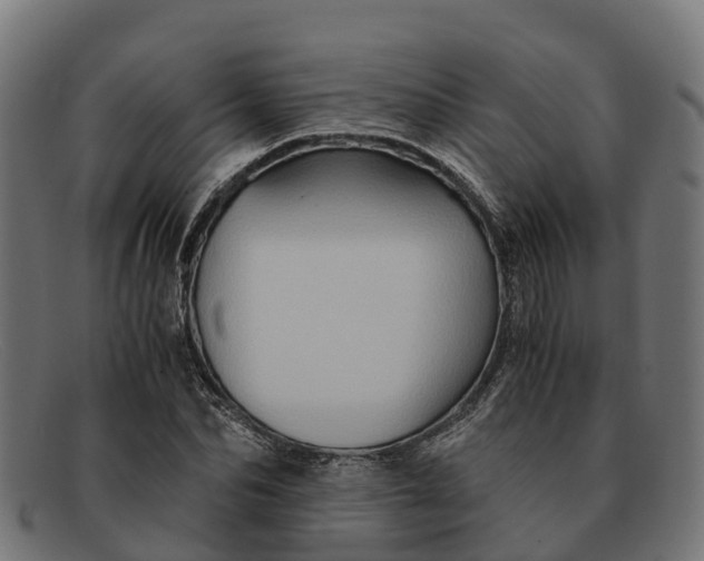 X0000091650974200709131447