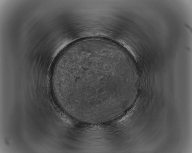 X0000091650975200709131447