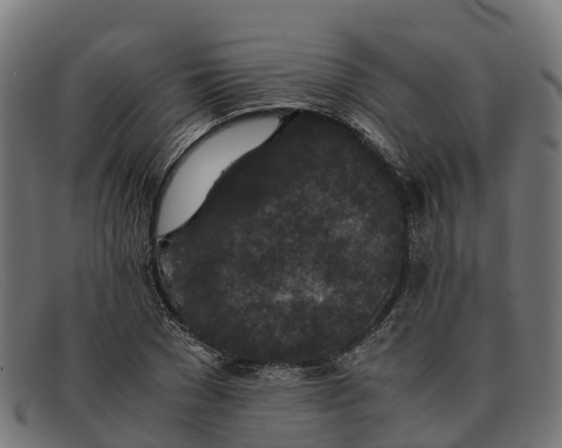 X0000091650977200709131447