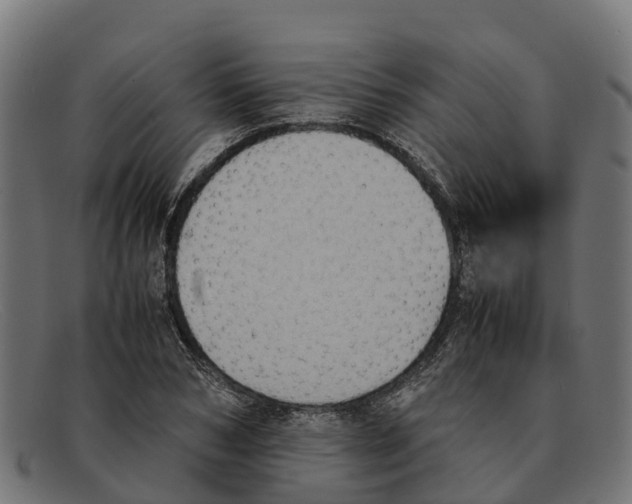 X0000091650978200709131447