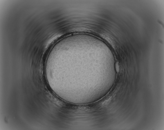 X0000091650979200709131447