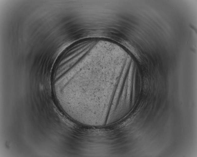 X0000091650980200709131447