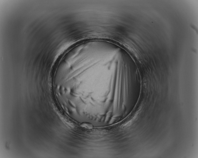 X0000091650981200709131447