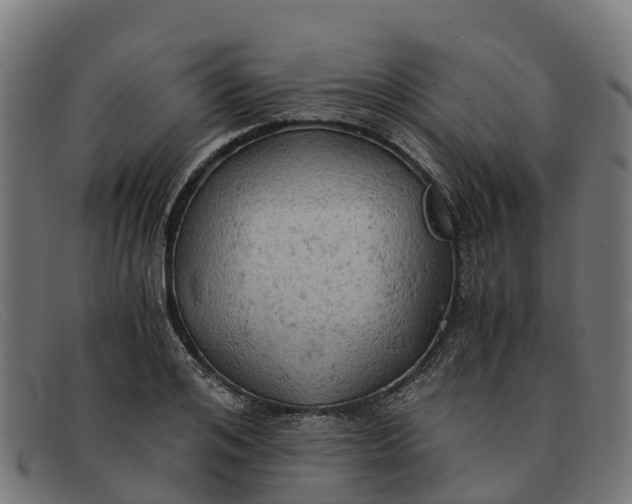 X0000091650984200709131446