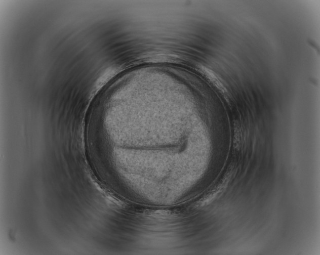 X0000091650986200709131446