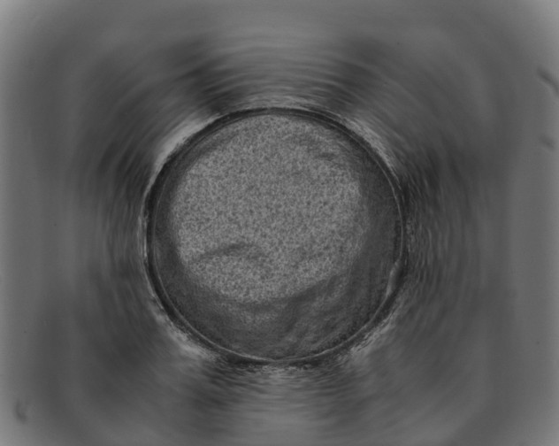 X0000091650987200709131446