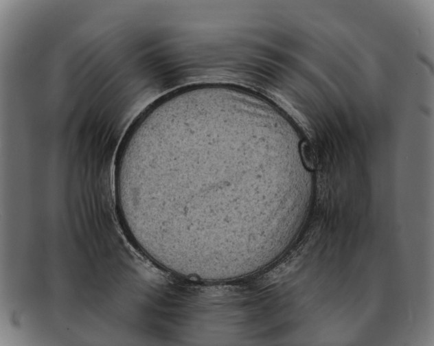 X0000091650988200709131446