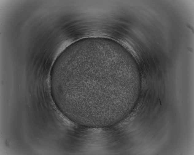 X0000091650990200709131446