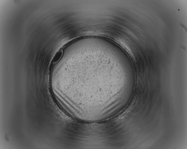 X0000091650992200709131446