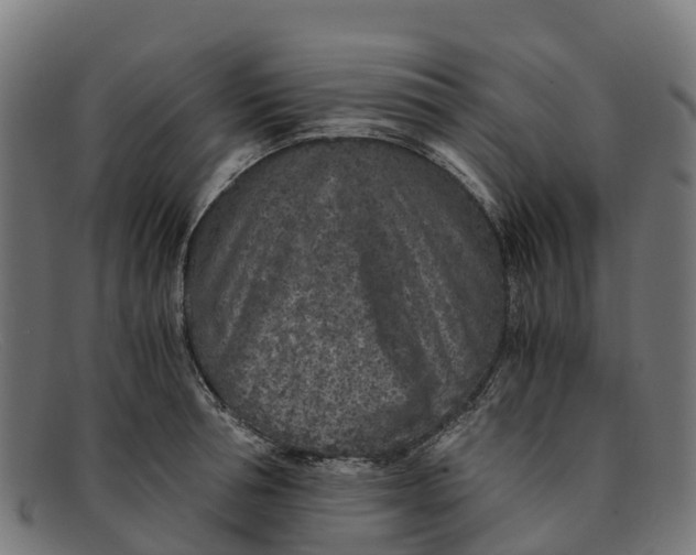 X0000091650994200709131446