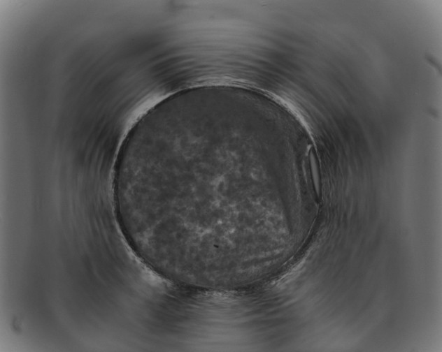 X0000091650995200709131446