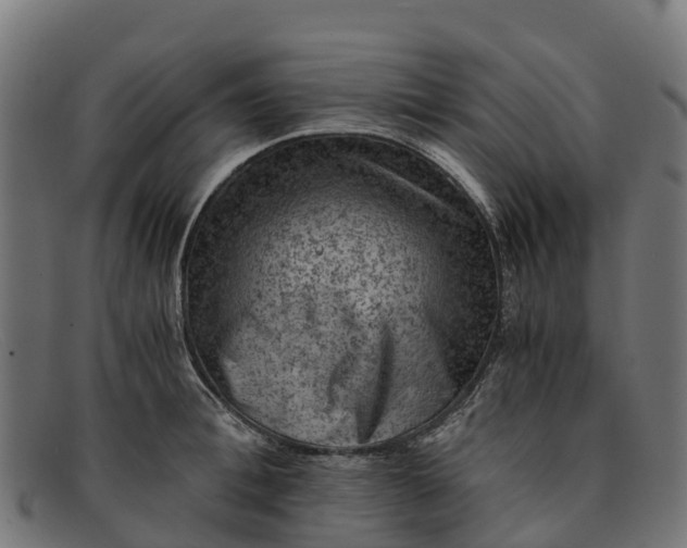 X0000091650996200709131446