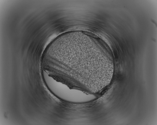 X0000091650997200709131446