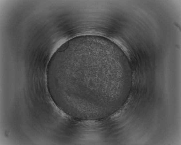 X0000091650998200709131446