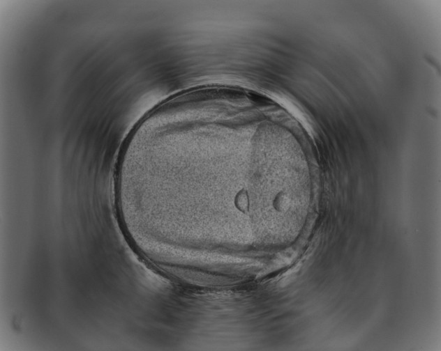 X0000091650999200709131446