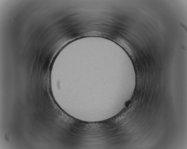 X0000091651000200709131446