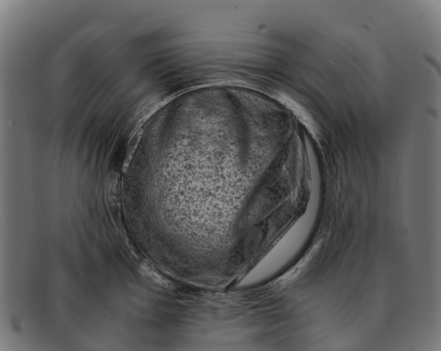 X0000091651001200709131446