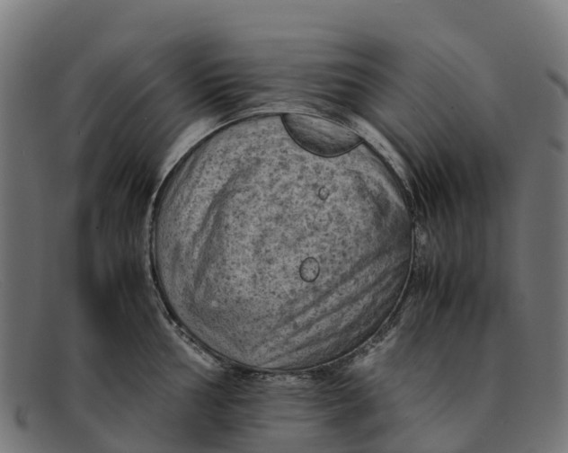 X0000091651002200709131446