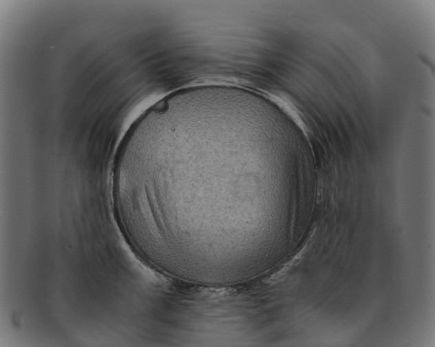 X0000091651003200709131446