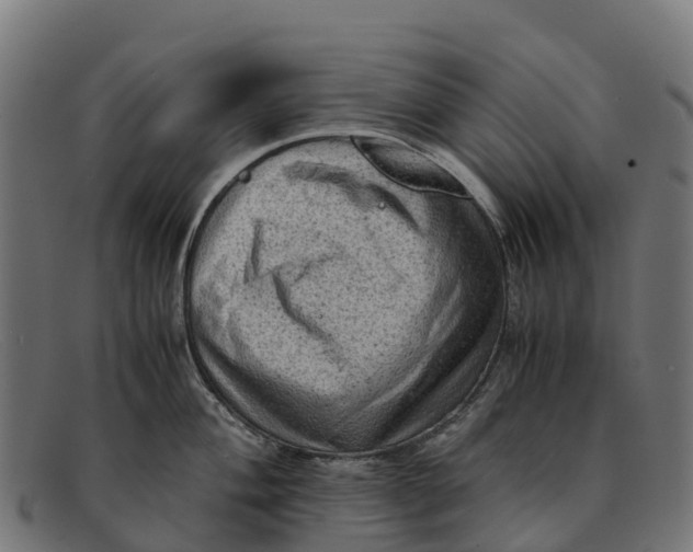 X0000091651004200709131446