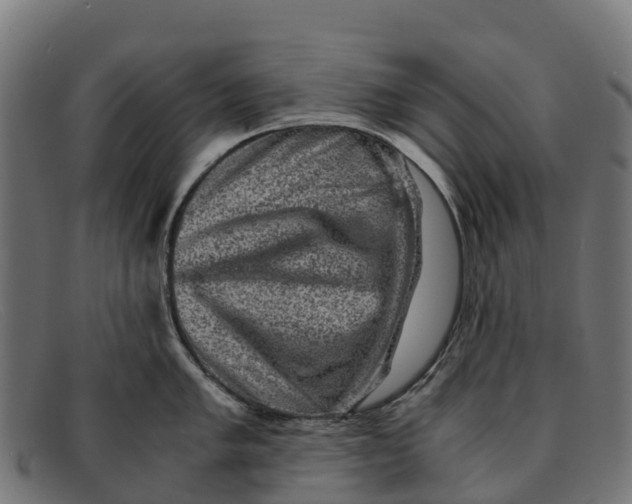 X0000091651005200709131446