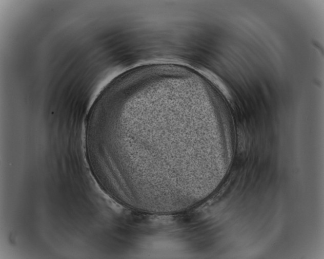 X0000091651006200709131446