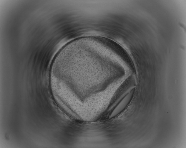 X0000091651008200709131446