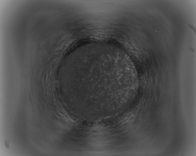 X0000091651009200709131446