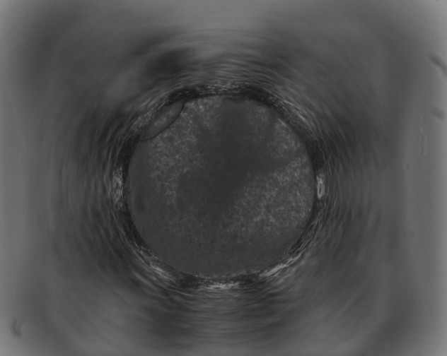 X0000091651011200709131446