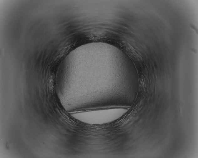 X0000091651012200709131446