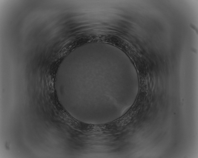 X0000091651013200709131446