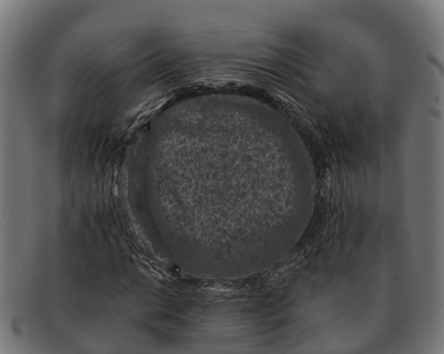 X0000091651014200709131446