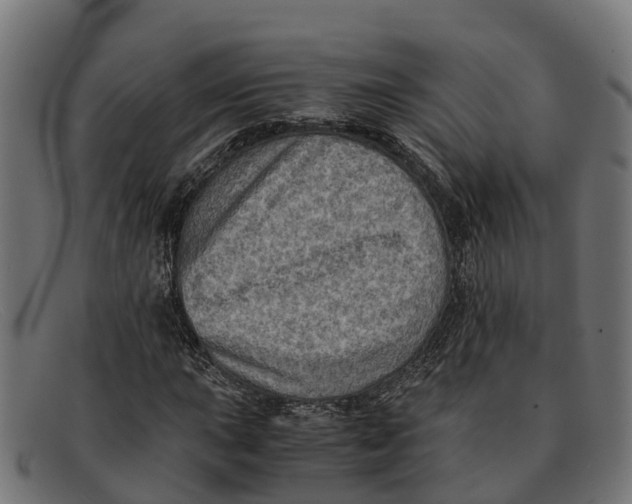 X0000091651015200709131446