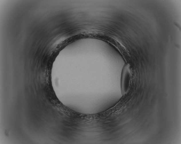 X0000091651016200709131446