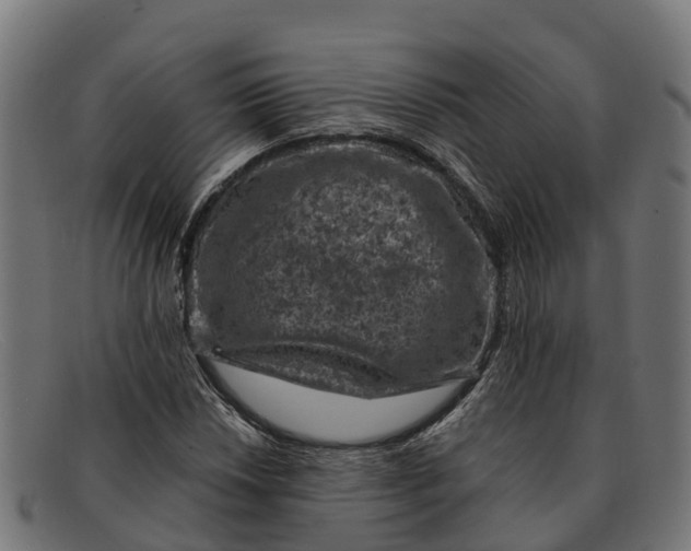 X0000091651018200709131446