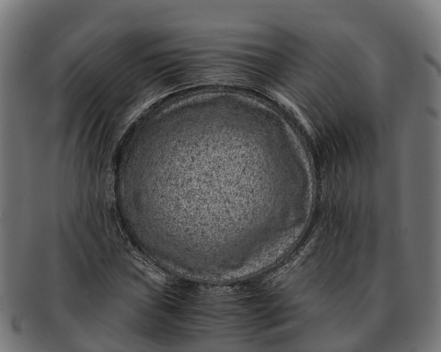 X0000091651019200709131446