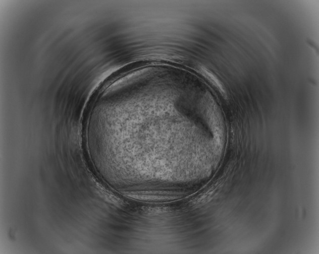 X0000091651020200709131446