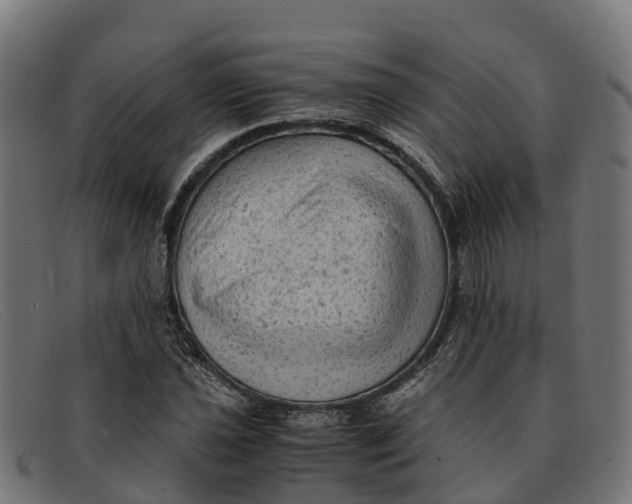 X0000091651021200709131446