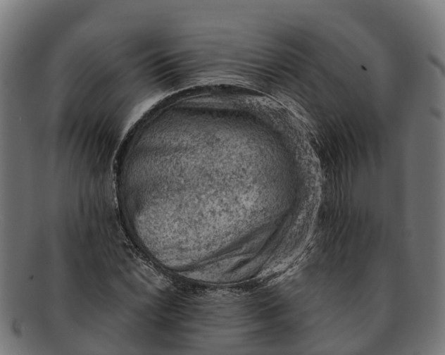 X0000091651022200709131446