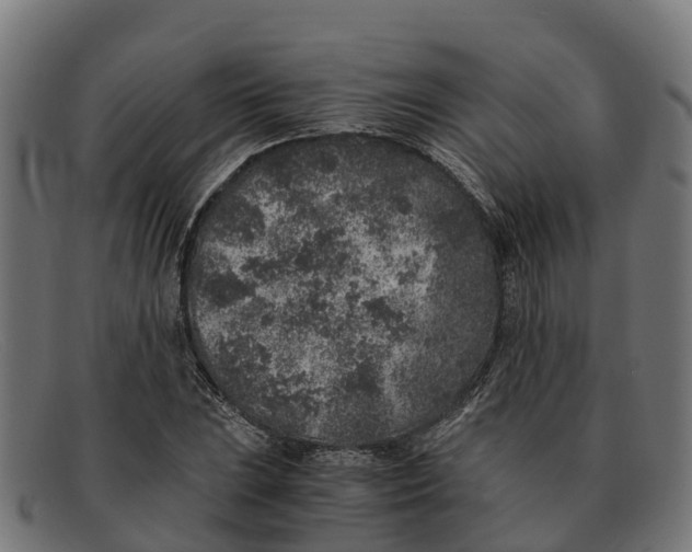 X0000091651023200709131446