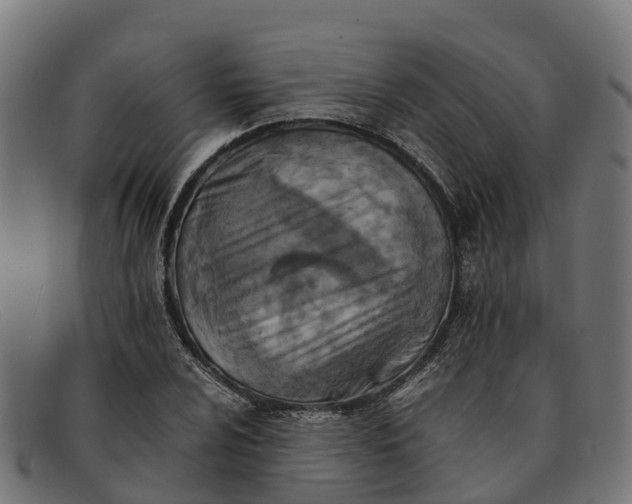 X0000091651024200709131446