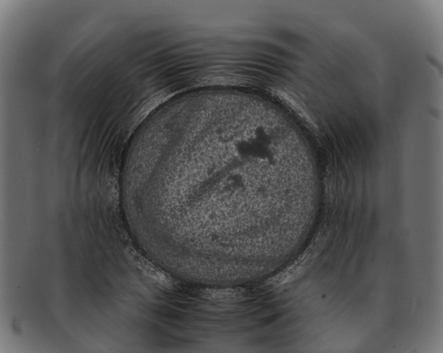 X0000091651025200709131446