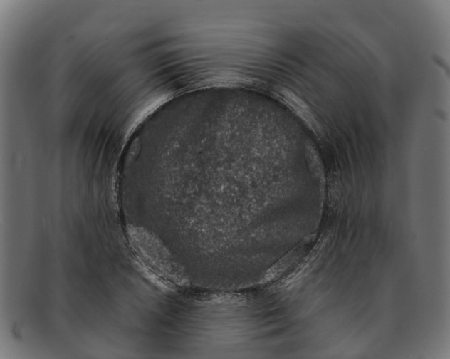 X0000091651026200709131446