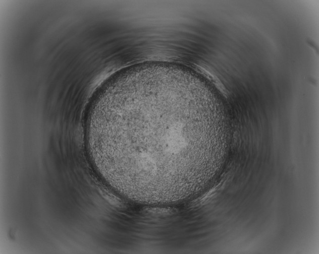 X0000091651027200709131446