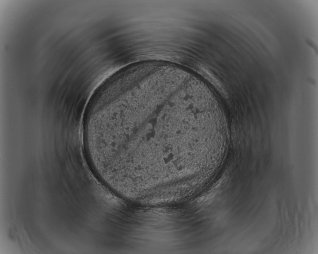 X0000091651028200709131446