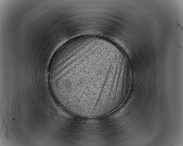 X0000091651029200709131446