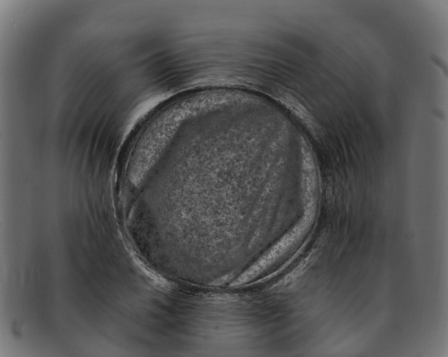 X0000091651030200709131446