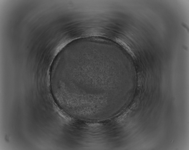 X0000091651031200709131446