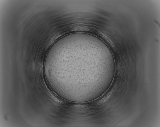 X0000091651033200709131446