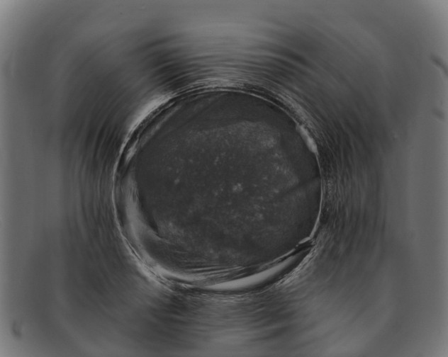 X0000091651034200709131446